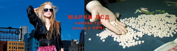 мяу мяу мука Тында