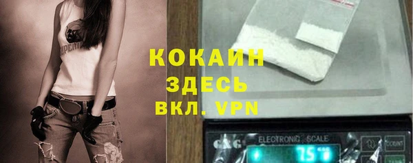 бошки Тутаев
