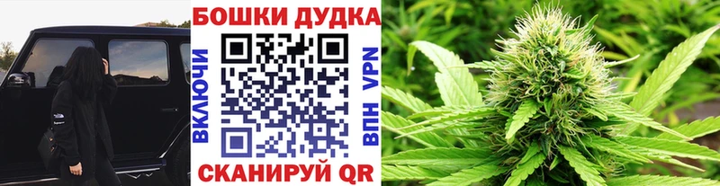 цена   Орехово-Зуево  Бошки Шишки VHQ 